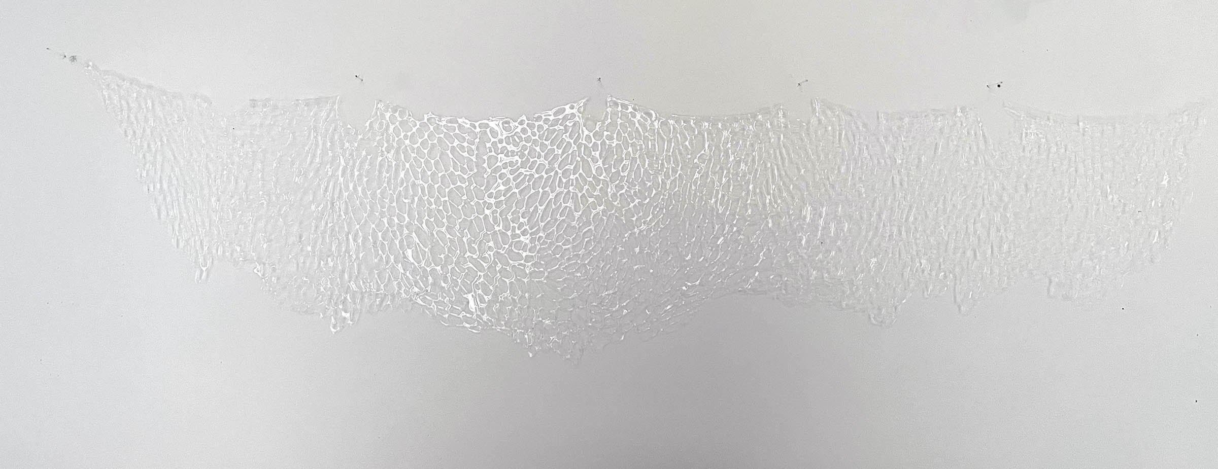 2024-10-31 16.19.59-B-sm