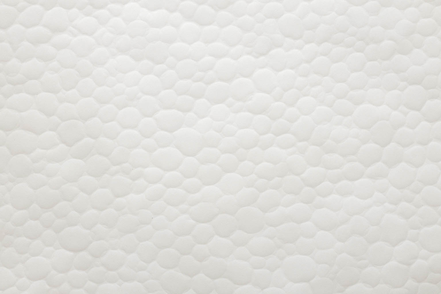 2024-WD-071-Karilee Fuglem-photo-Michael-Patten